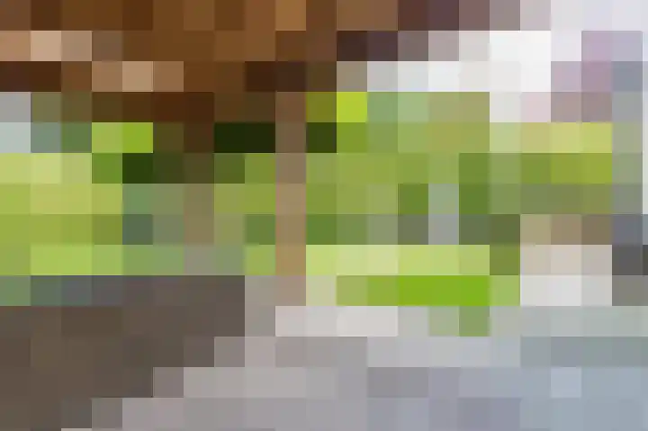 Twente 10 Emmeloord thumbnail 37
