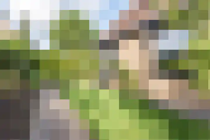 Twente 10 Emmeloord thumbnail 43