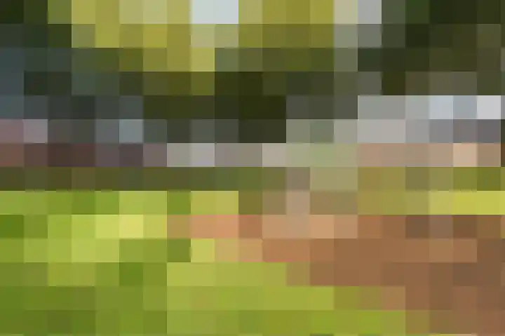 Twente 10 Emmeloord thumbnail 46