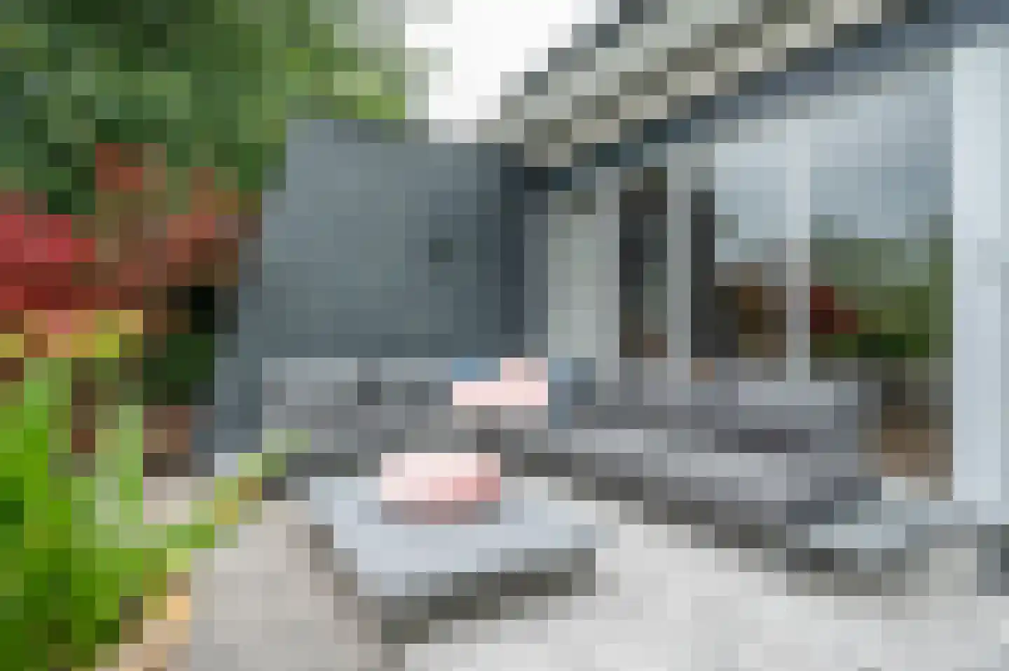 Twente 11 Emmeloord thumbnail 63