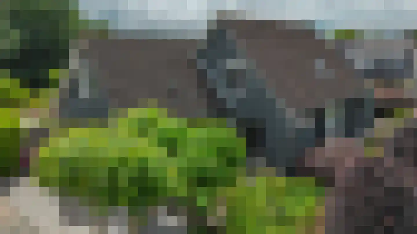 Twente 11 Emmeloord thumbnail 70
