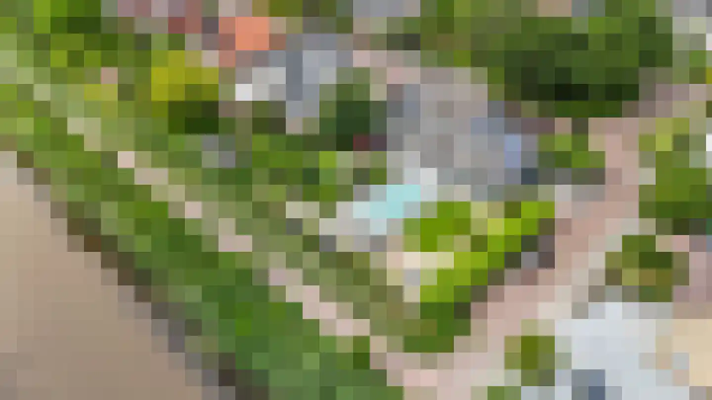 Twente 11 Emmeloord thumbnail 76