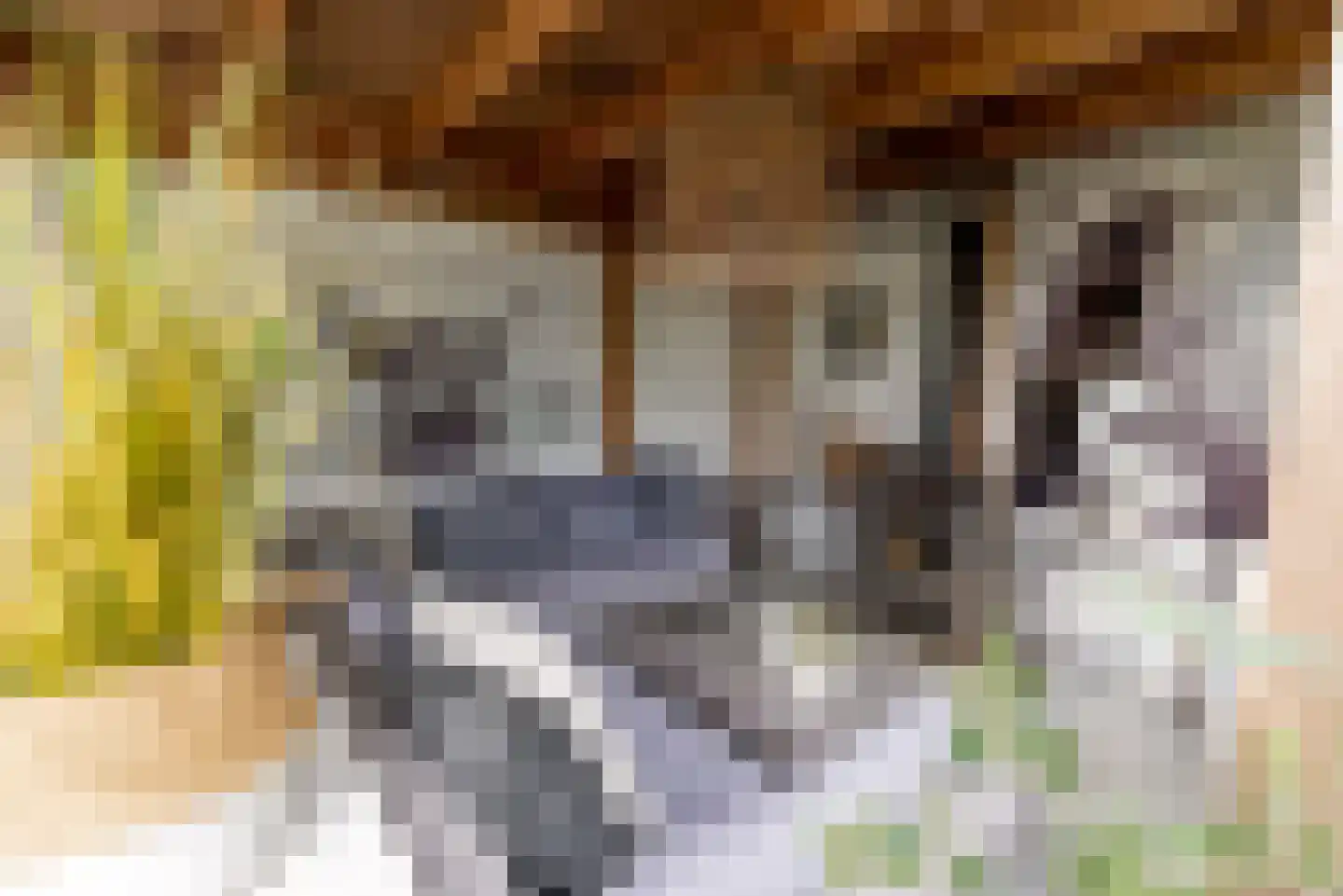 Twente 20 Lelystad thumbnail 33