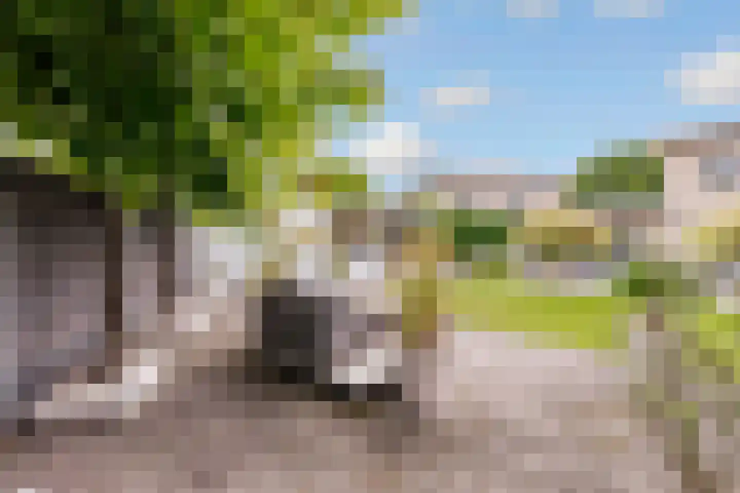 Twente 20 Lelystad thumbnail 37