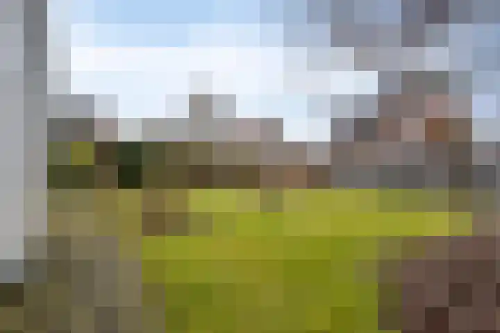 Twente 4 Emmeloord thumbnail 29
