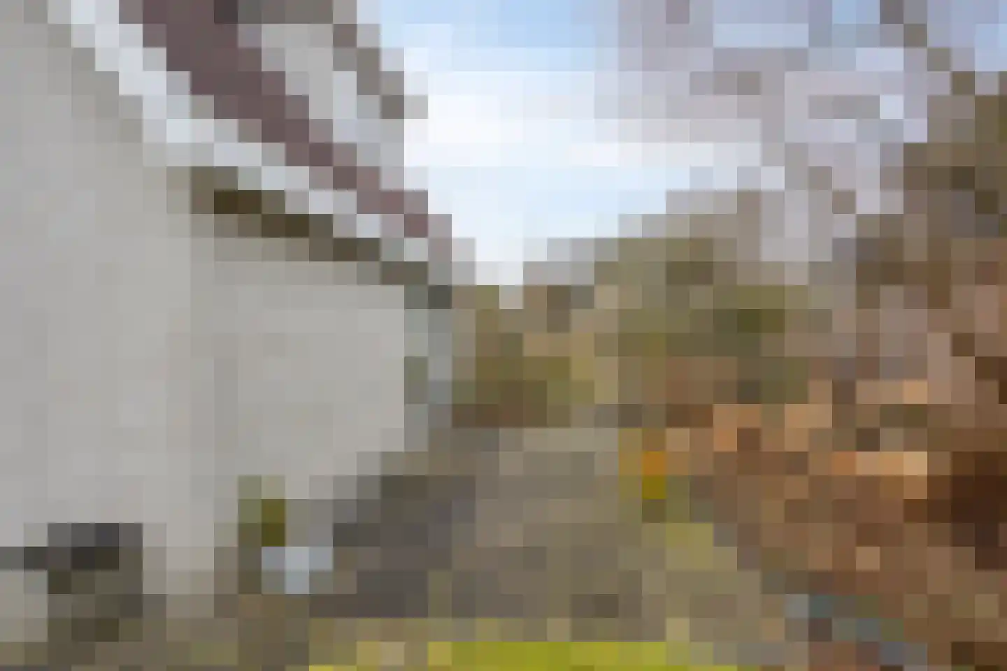 Twente 4 Emmeloord thumbnail 30