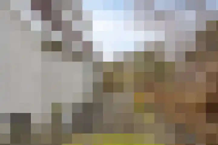 Twente 4 Emmeloord thumbnail 30
