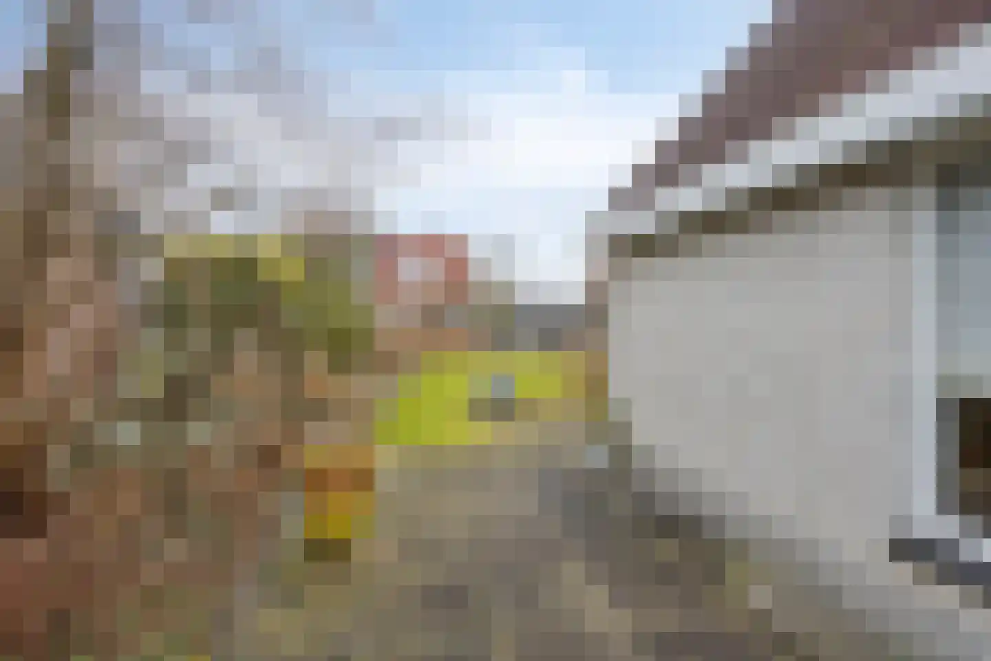 Twente 4 Emmeloord thumbnail 31