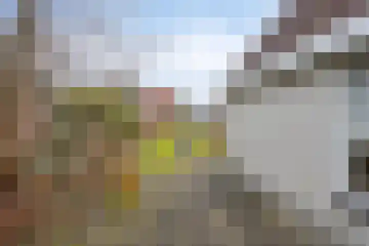 Twente 4 Emmeloord thumbnail 31