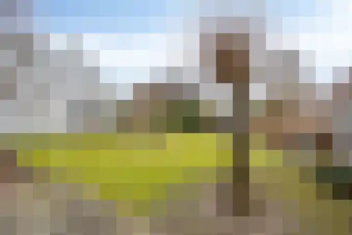 Twente 4 Emmeloord thumbnail 33