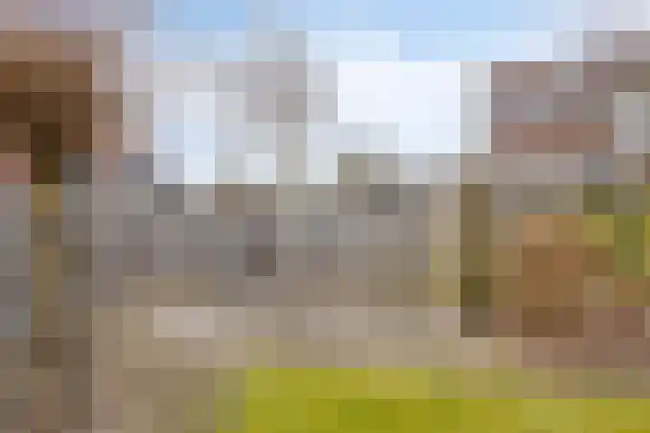 Twente 4 Emmeloord thumbnail 34