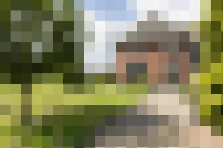 Twente-Route 11 B Heelweg thumbnail 10