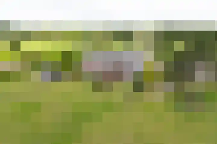 Twente-Route 11 B Heelweg thumbnail 37