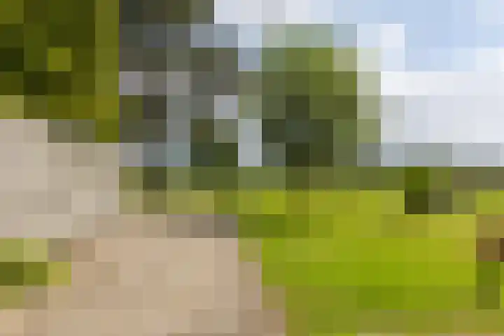 Twente-Route 11 B Heelweg thumbnail 38