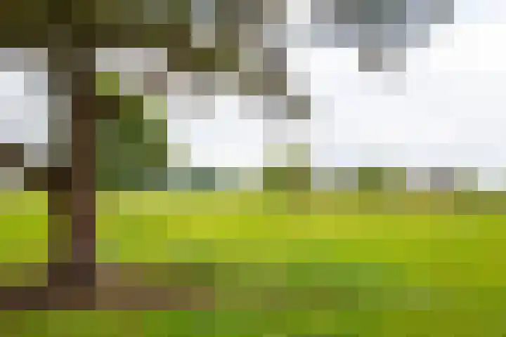 Twente-Route 11 B Heelweg thumbnail 39