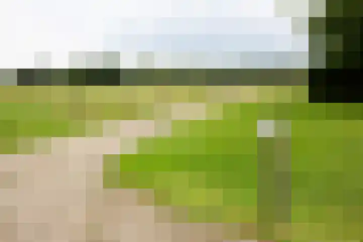 Twente-Route 11 B Heelweg thumbnail 40