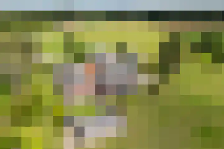 Twente-Route 11 B Heelweg thumbnail 42