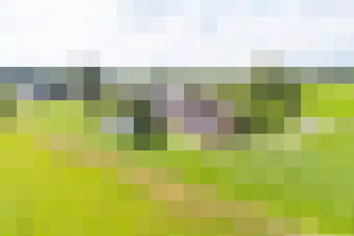 Twente-Route 11 B Heelweg thumbnail 43