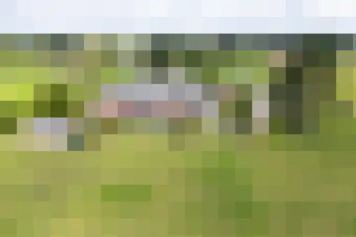 Twente-Route 11 B Heelweg thumbnail 47