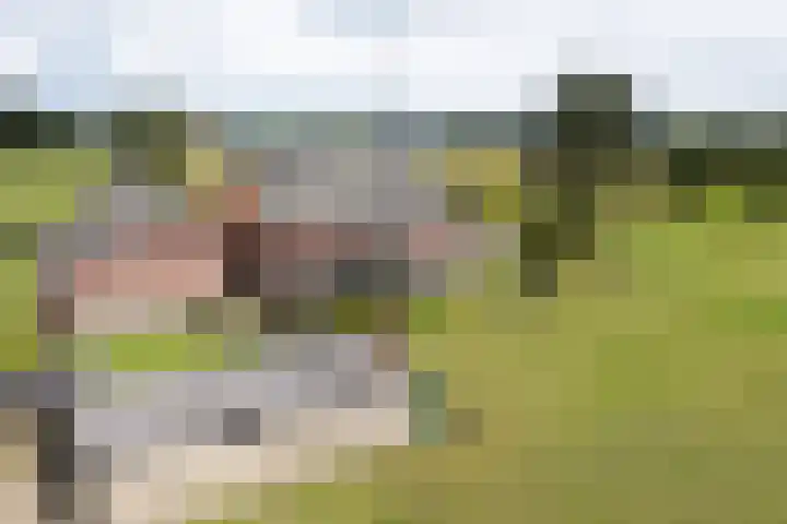 Twente-Route 11 B Heelweg thumbnail 5