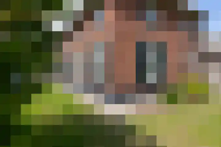 Twente-Route 11 B Heelweg thumbnail 7