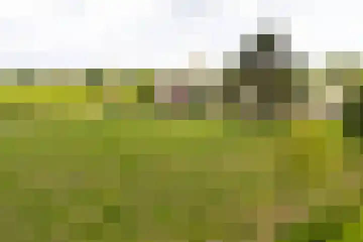 Twente-Route 11 B Heelweg thumbnail 8