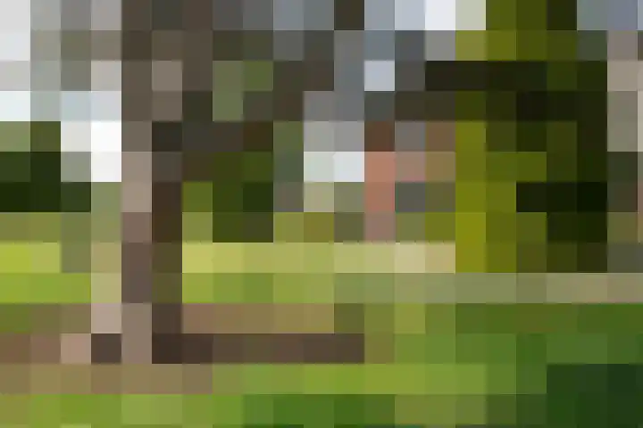 Twente-Route 11 B Heelweg thumbnail 9