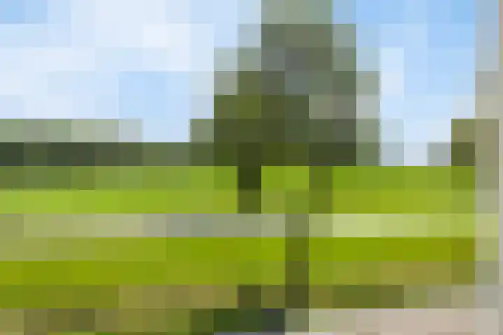 Twente-Route 2 Heelweg thumbnail 29