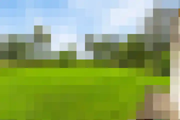 Twente-Route 2 Heelweg thumbnail 30