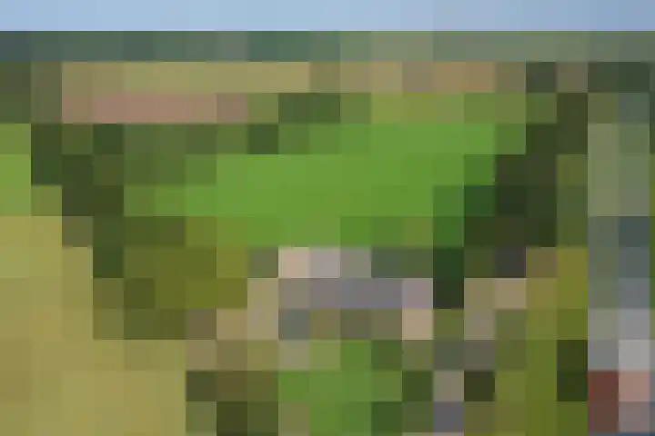 Twente-Route 2 Heelweg thumbnail 32