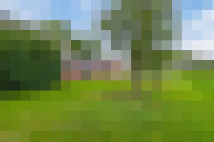Twente-Route 2 Heelweg thumbnail 37
