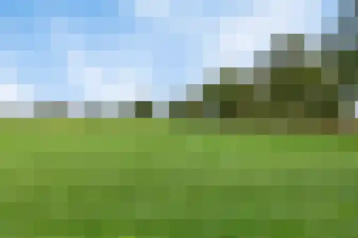 Twente-Route 2 Heelweg thumbnail 38