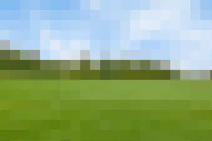 Twente-Route 2 Heelweg thumbnail 39