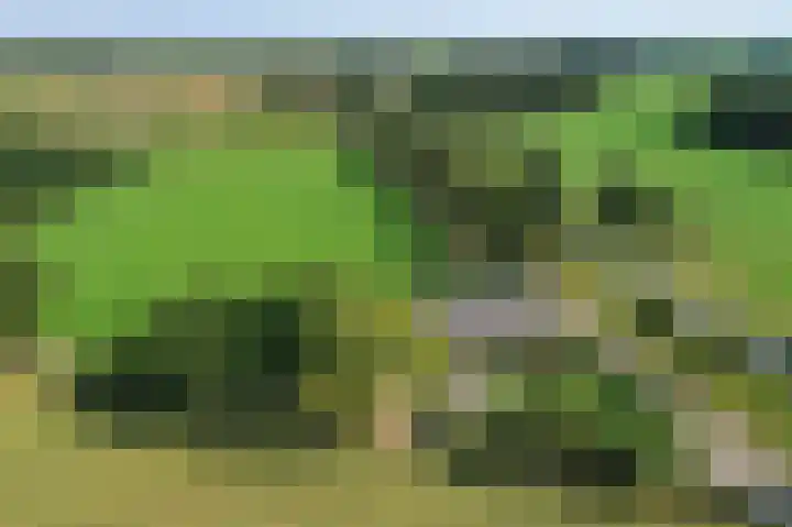 Twente-Route 2 Heelweg thumbnail 4