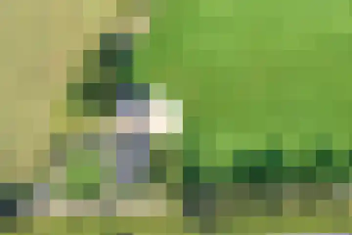 Twente-Route 2 Heelweg thumbnail 40