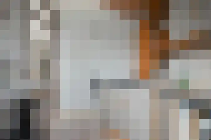 Twentehof 102 Helmond thumbnail 13