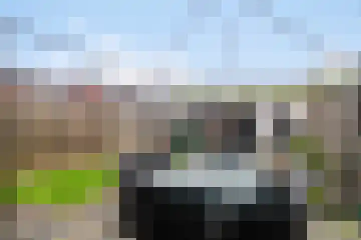 Twentehof 102 Helmond thumbnail 24