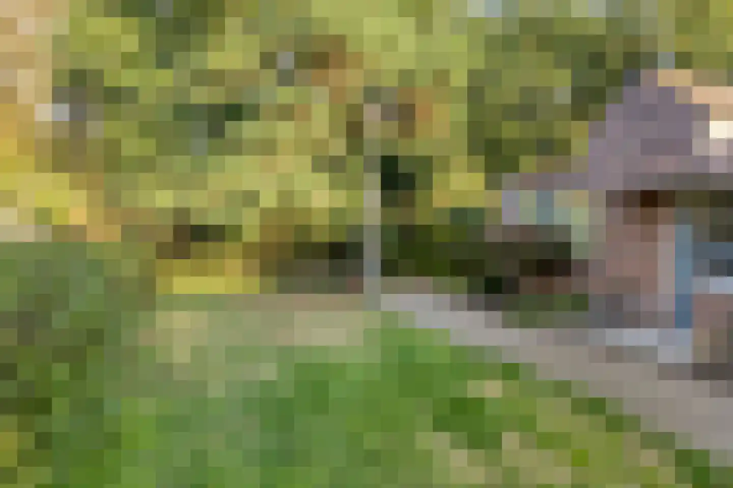 Twentehof 104 Helmond thumbnail 44