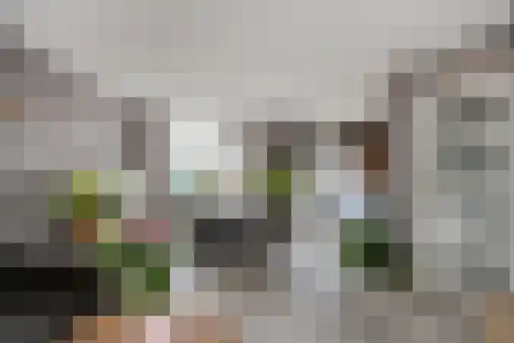 Twentehof 108 Helmond thumbnail 12