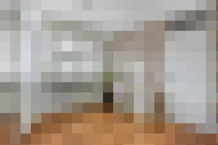Twentehof 108 Helmond thumbnail 21