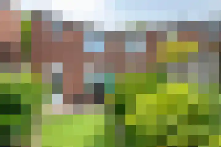 Twentehof 108 Helmond thumbnail 28