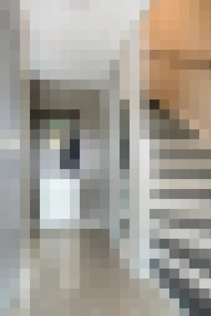 Twentehof 108 Helmond thumbnail 4