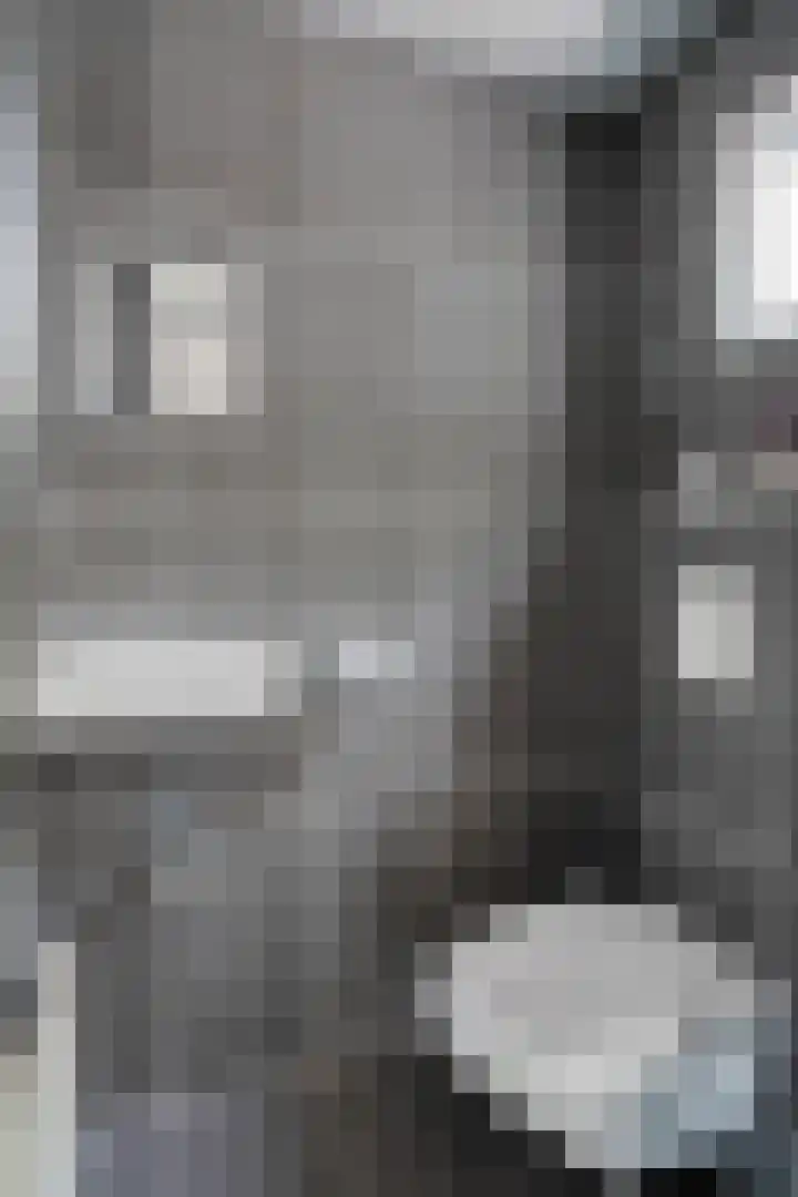 Twentehof 108 Helmond thumbnail 5