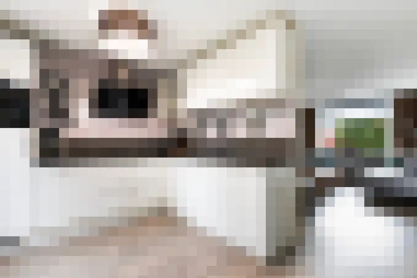 Twentehof 12 Helmond thumbnail 19