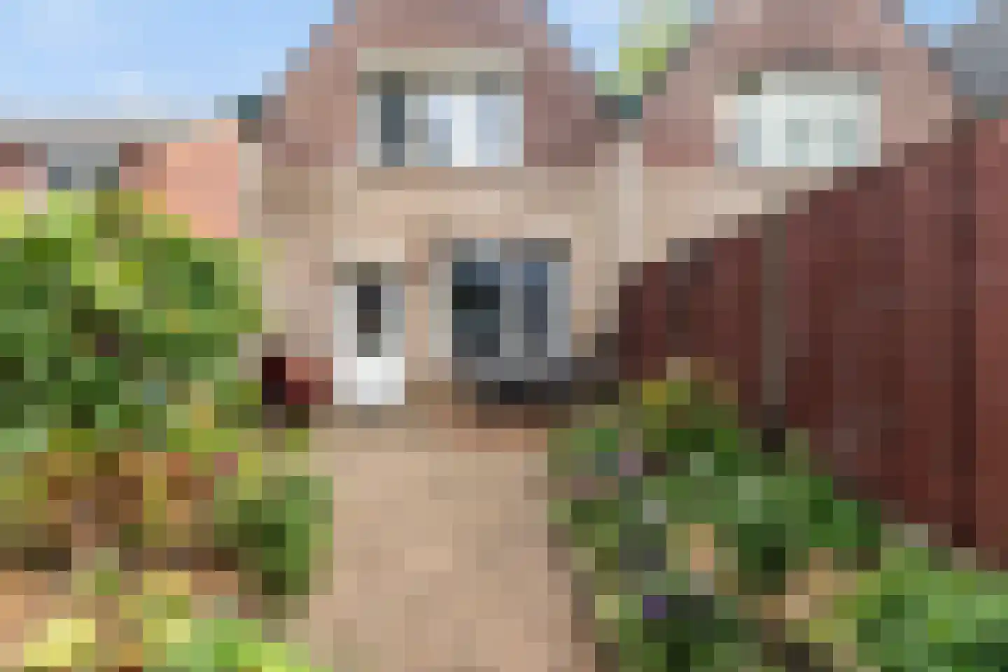 Twentehof 12 Helmond thumbnail 39