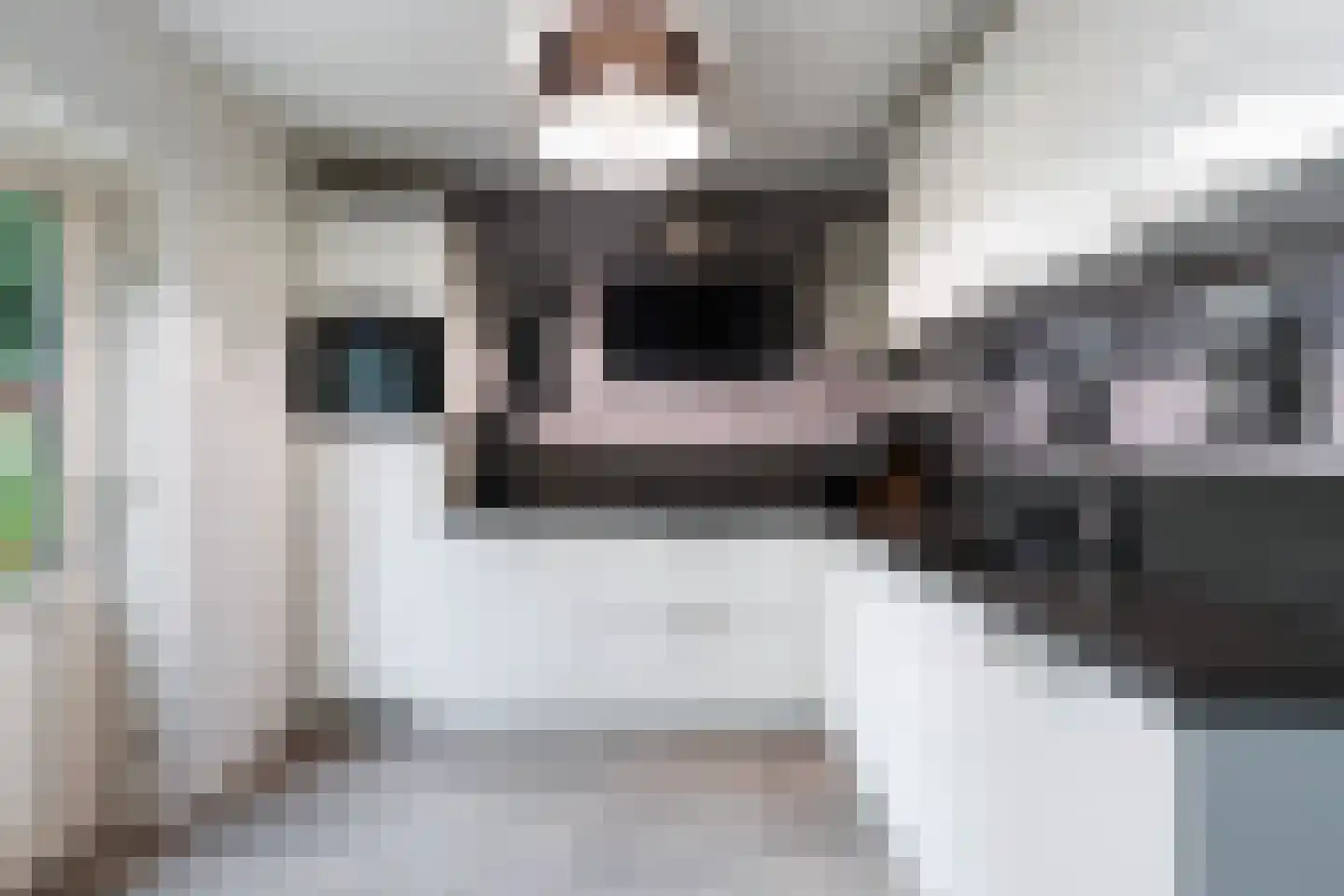 Twentehof 12 Helmond thumbnail 4