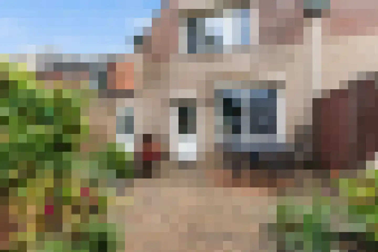 Twentehof 12 Helmond thumbnail 40