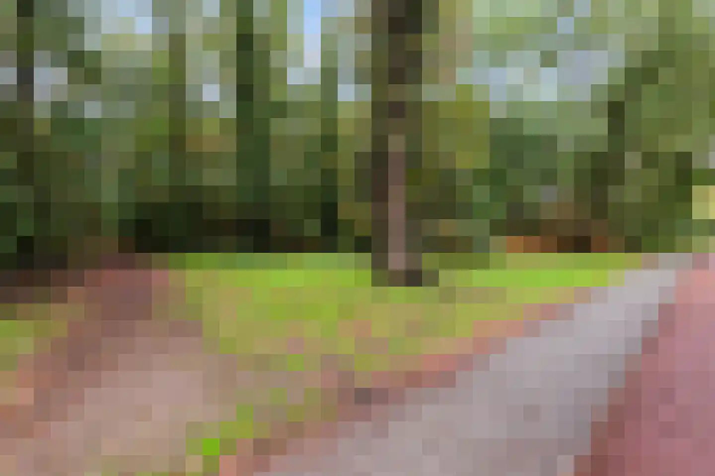 Twentehof 12 Helmond thumbnail 42