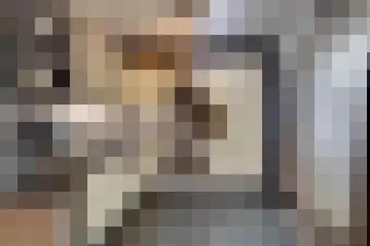 Twentehof 14 Helmond thumbnail 13