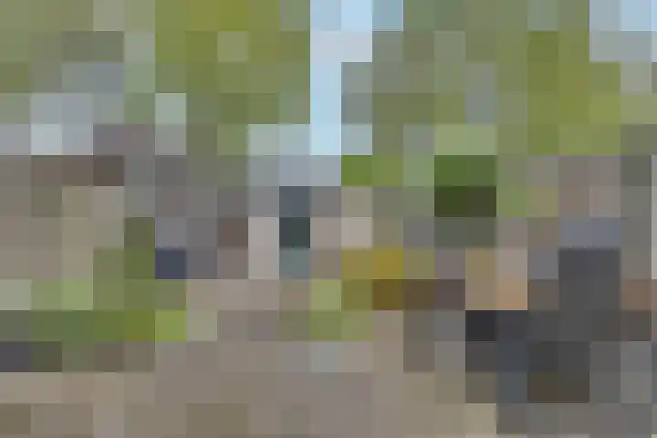 Twentehof 14 Helmond thumbnail 25